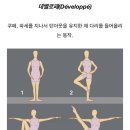 로페 이미지