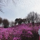 부천8경 포토존1 이미지