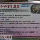 삼오식당2 이미지