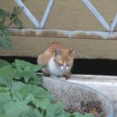 소정경로당 이미지