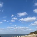 한국해양소년단전북연맹 이미지