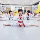 청룡태권도장 이미지