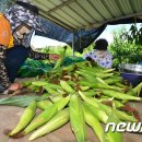 단구1리 이미지