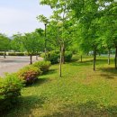 너른들공원 이미지