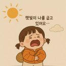 형제해안로 네이버블로그