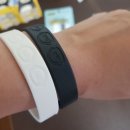 엔제이 팜 이미지