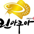 린아쿠아(수족관) 네이버블로그