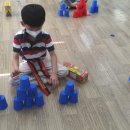 태권도 오송 정도장 이미지