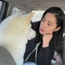 (주)해주 이미지