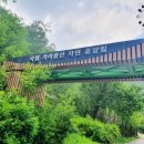 국립가리왕산자연휴양림 네이버블로그