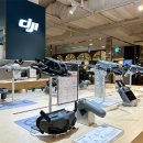 롯데백화점부산본점 이미지