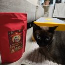 마미나은 | [쾌뇨펫] 고양이영양제 중에서 실제 효과를 느낀 제품, 직접 급여해본 현실 후기(고양이방광결석 관리 중)