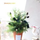 힐링 플라워 클래스(오창) 이미지