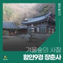 장춘사 5층석탑 | 함안9경 고즈넉한 겨울 숲의 사찰 장춘사 풍경 속으로