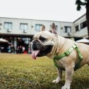 미엘동물병원 이미지