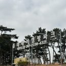 동현주유소 | 서울 근교, 경기도 안산 대부도 캠핑장/ 홀리데이캠핑파크 대부도점 [A2]