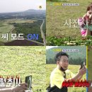 더투어 이미지