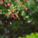 정봉아농장 이미지