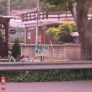 당림미술관 바닥화 그리기 치열한 예약 유치원생 아이와 다녀온 후기 겹벚꽃 개화