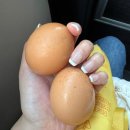 이마트24 능동점 | 9월 일상 ⑵