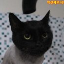 헤어;나봄