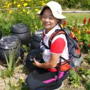 한밭수목원 동원 이미지