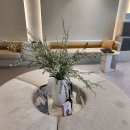 다산힐피부과의원 이미지