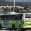 사파동214 이미지