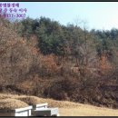 조산동회관 네이버블로그
