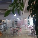 러블리독 이미지