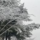 솔로몬어탕