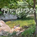 가로가판점60-19호 | 충북 영동 | 물한계곡을 품은 별밤펜션오토캠핑장(애견동반가능)