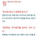 한식청명