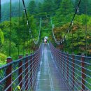 아침고요수목원=7월 추천 여행지=무궁화·수국·백합 가득=출렁다리와 5천 종 식물 품은 서울 근교 정원 이미지