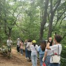 미래유치원 이미지