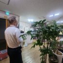 건강제주안마지압원 이미지