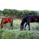 경마모텔 이미지