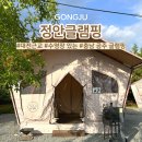 [정안글램핑] 충남글램핑 추천｜넓은 수영장과 모든 시설이 갖춰진 공주시글램핑