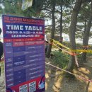 강산애 | [부산여행] 다대포 해수욕장 축제 :: 부산바다축제 , 다대포선셋영화제 (라인업 , 일정)