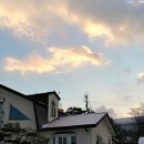 일출 난 농원 이미지