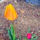 개운농장 이미지