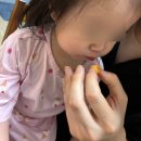 [한국농협김치] 농협 브랜드 김치 국산 100% 어른 어린이 김치 후기