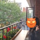 주르데크레프 이미지
