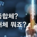 주식회사하임약품 이미지