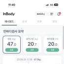 용인대다이어트복싱클럽 이미지