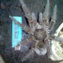 마들역(7호선) 이미지