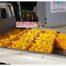 청용농장 이미지