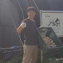 조성권농장 네이버블로그