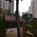 2동탄중흥공인중개사사무소 이미지