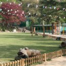 북한산초등학교 Daum카페